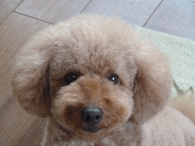 2011.7.31 トリミング_a0083571_17544481.jpg