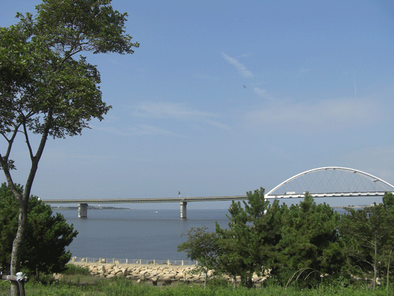 c0095679_1751942.gif