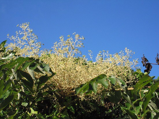 b0182884_21405068.jpg