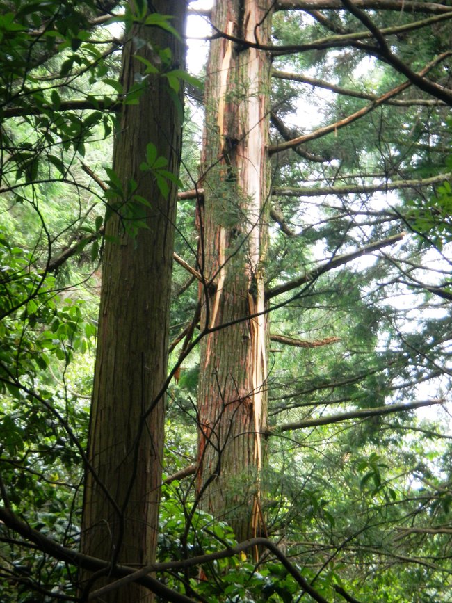 c0193187_17414215.jpg