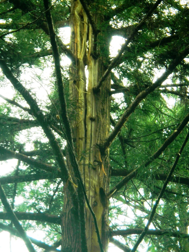 c0193187_17484456.jpg