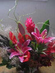 c0178588_234562.jpg