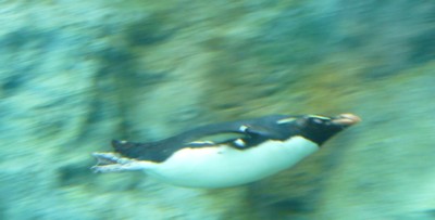 b0035391_2248332.jpg
