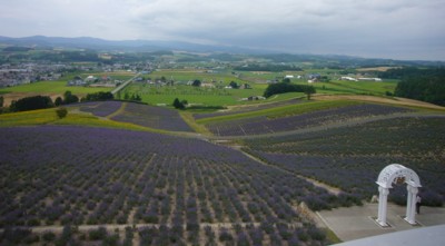 b0035391_22582866.jpg