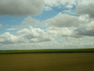 a0107792_15334939.jpg
