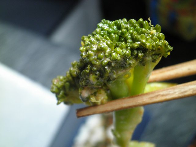 c0118393_8394233.jpg