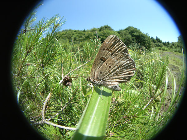 c0049095_95539.jpg