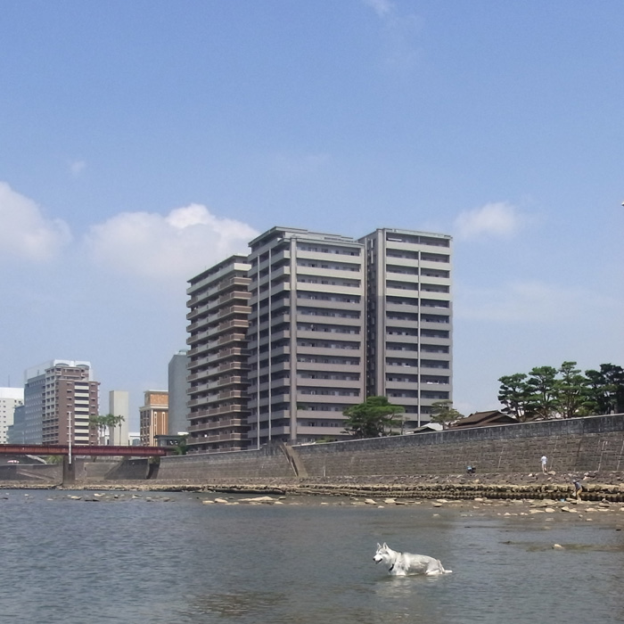 c0049299_19581370.jpg