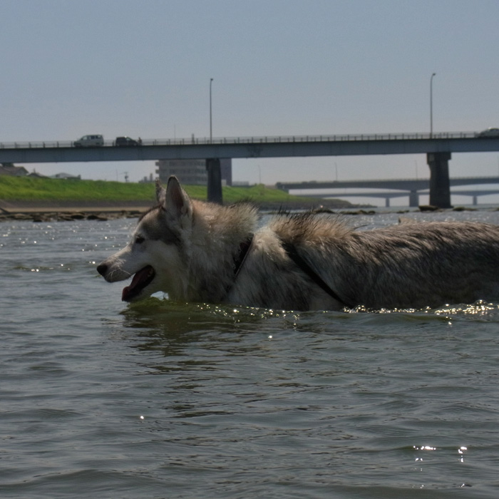 c0049299_2001487.jpg