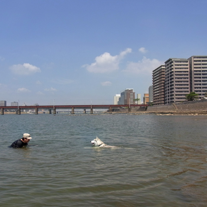 c0049299_2015612.jpg