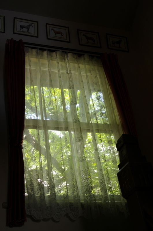 b0138101_2145870.jpg