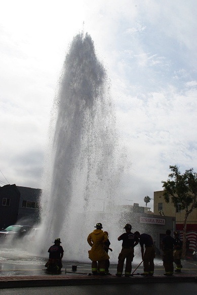 f0038904_11324076.jpg