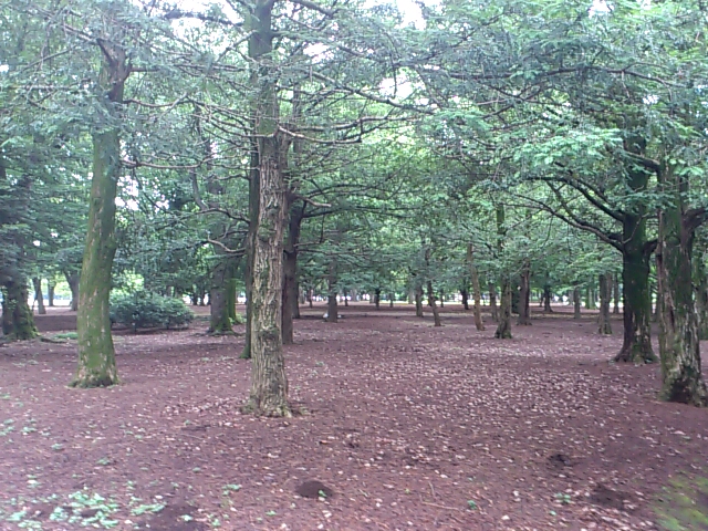 f0221204_17445444.jpg