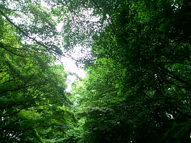f0221204_1745210.jpg