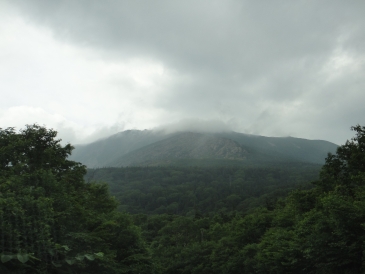b0172805_949658.jpg