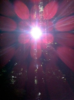 FUJI ROCK 2011 後半_c0197505_23333746.jpg