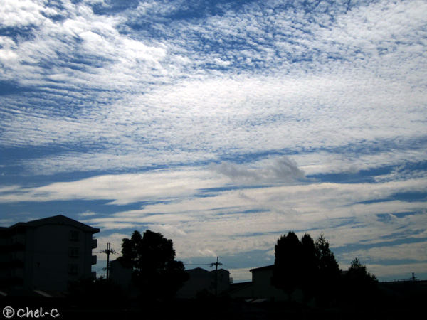 a0154706_19334585.jpg