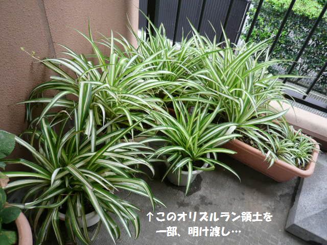 e0094407_20391839.jpg