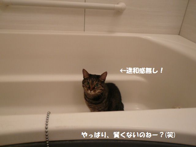 e0094407_21245091.jpg