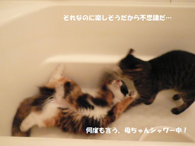 e0094407_21261850.jpg