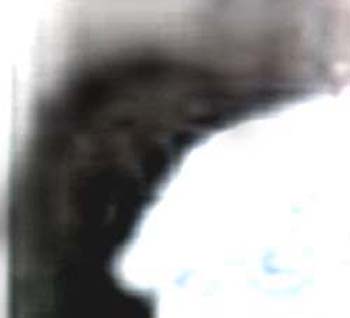 e0103408_1858883.jpg