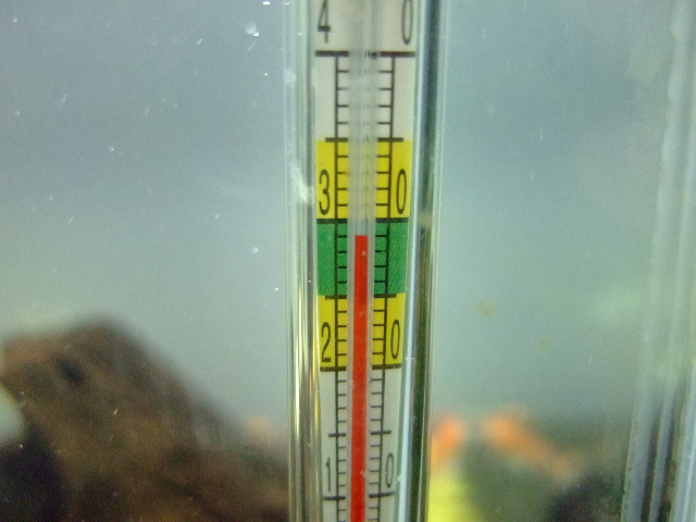 f0152308_20165663.jpg