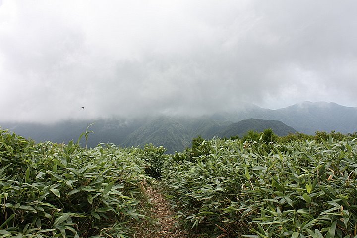 c0110510_2135551.jpg