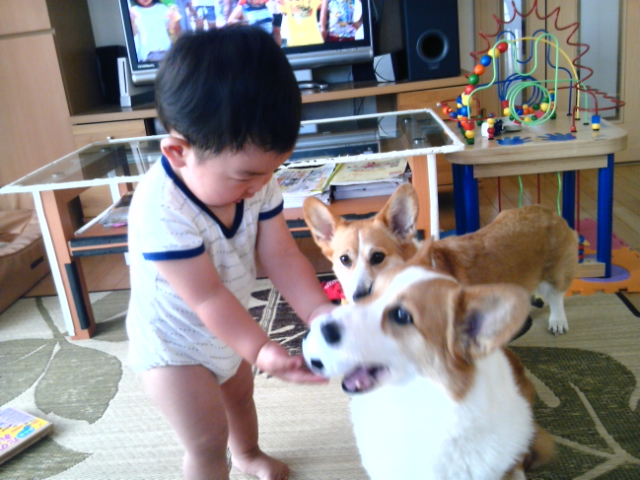 c0153410_1723325.jpg