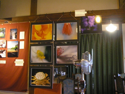 f0008510_1094331.jpg