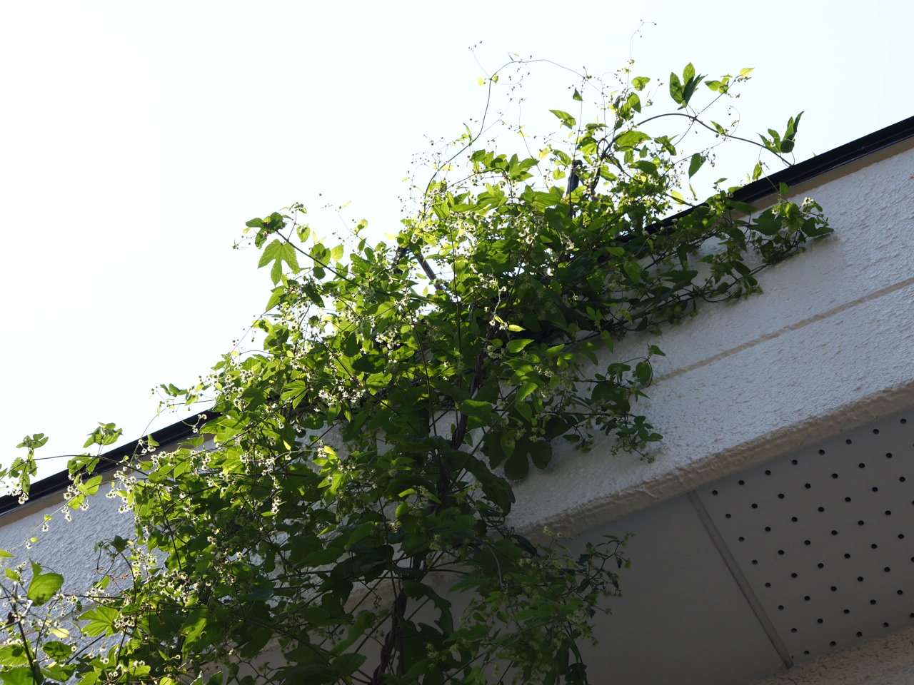 d0169613_0183740.jpg