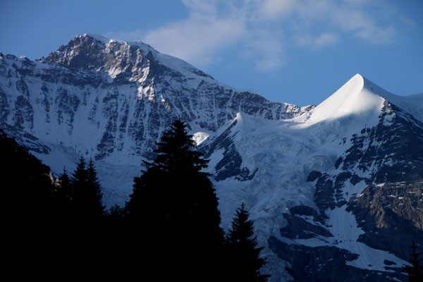 スイスの山巡り2 シルバーホルン_e0048413_14351471.jpg