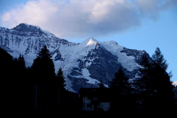 スイスの山巡り2 シルバーホルン_e0048413_1435213.jpg
