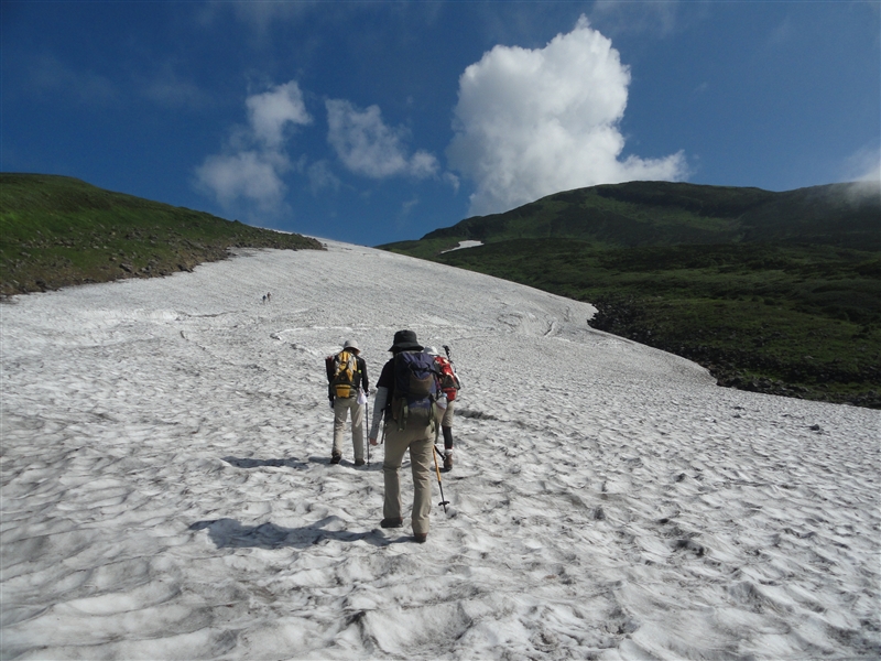 鳥海山・残雪と百花繚乱のへ_a0127015_18443472.jpg