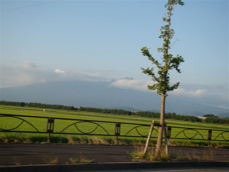 鳥海山・残雪と百花繚乱のへ_a0127015_1901946.jpg