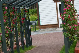 f0170524_21342131.jpg