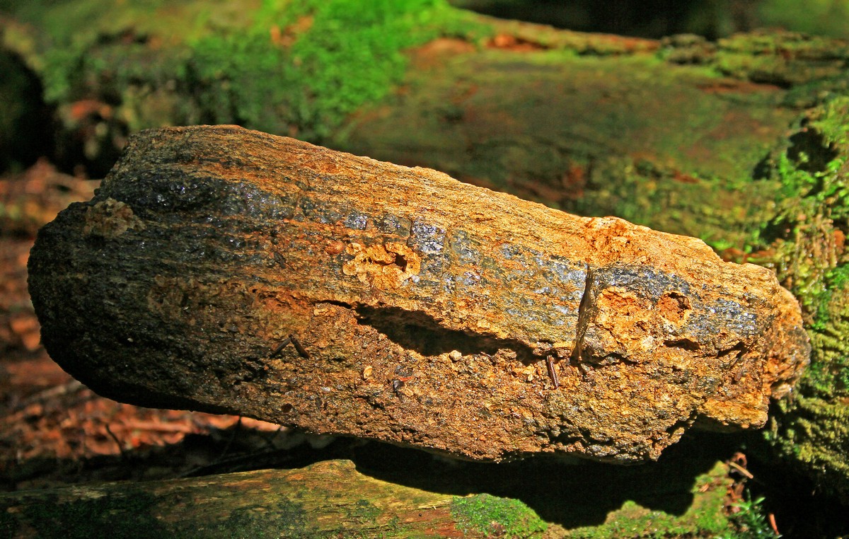 c0104227_1021969.jpg