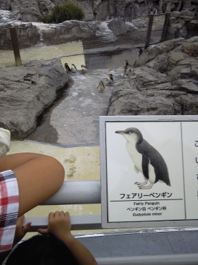 葛西臨海公園_f0214534_912213.jpg