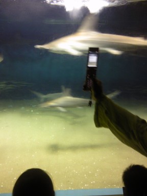 葛西臨海公園_f0214534_9144763.jpg