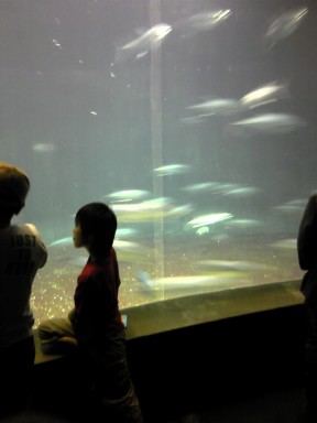 葛西臨海公園_f0214534_9162440.jpg
