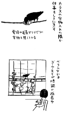 「biwamap」の坂木浩子さん登場!_c0039735_1516547.jpg