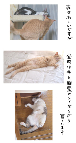 「biwamap」の坂木浩子さん登場!_c0039735_1523113.jpg