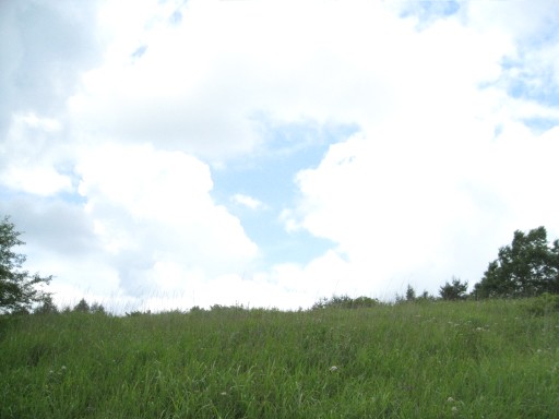 c0090236_22501358.jpg