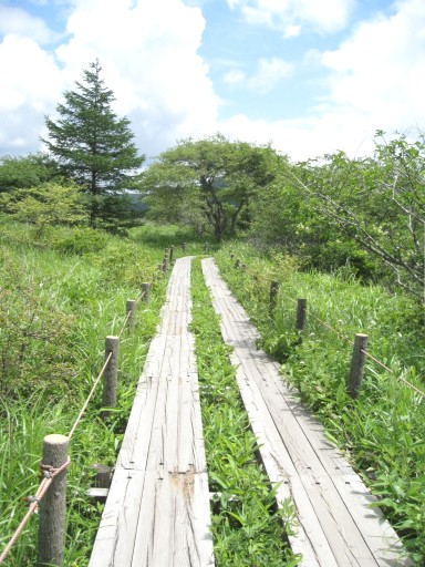 c0090236_22501688.jpg