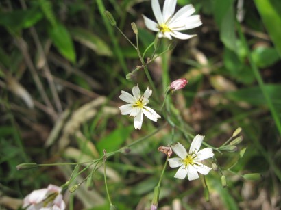 c0090236_2341782.jpg