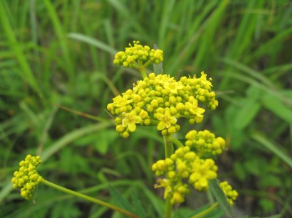 c0090236_234493.jpg