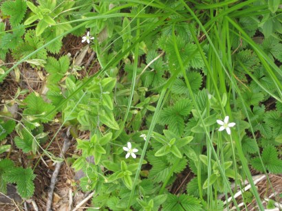 c0090236_235331.jpg