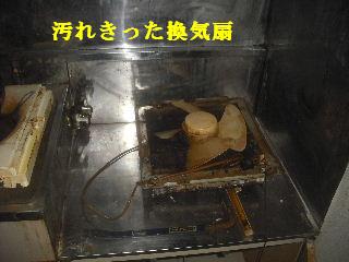 本日2日目_f0031037_2131529.jpg