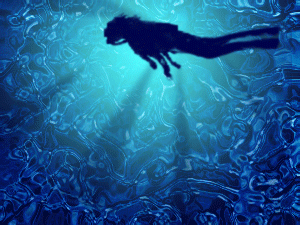 a0050838_11451075.gif