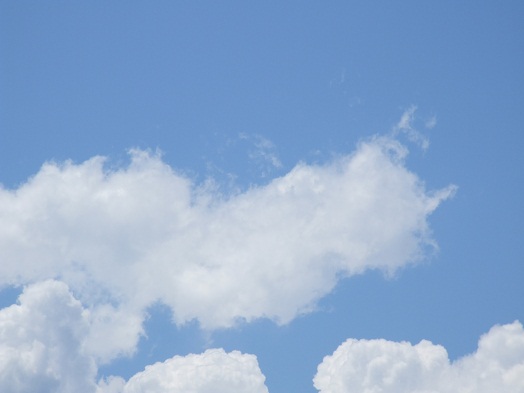 b0089338_20142067.jpg