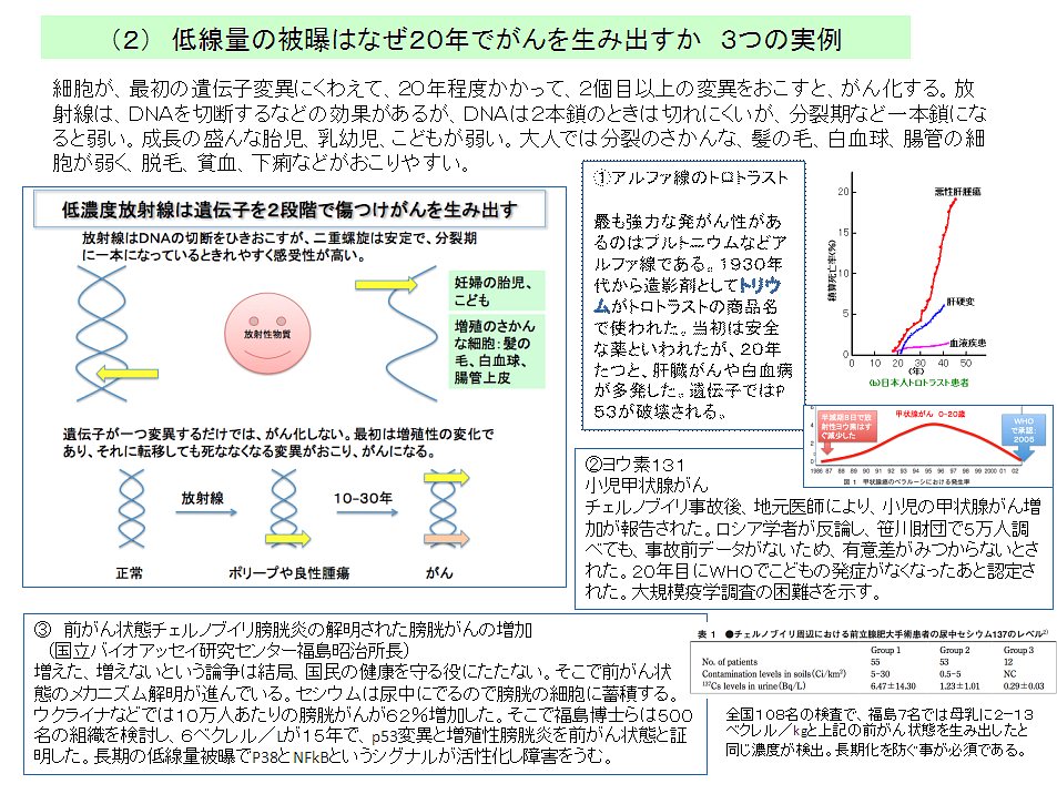 児玉龍彦先生のお話がインターネットで評判_a0127342_1915317.jpg